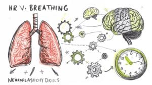 Actionable neuroscience fixes to reset brain for productivity and mental health